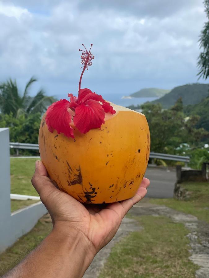Western Ocean Breeze Self Catering ヴィクトリア エクステリア 写真